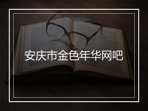 安庆市金色年华网吧
