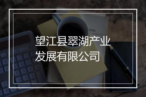 望江县翠湖产业发展有限公司