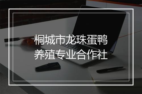 桐城市龙珠蛋鸭养殖专业合作社