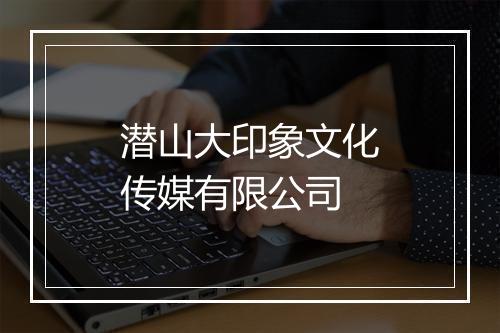 潜山大印象文化传媒有限公司