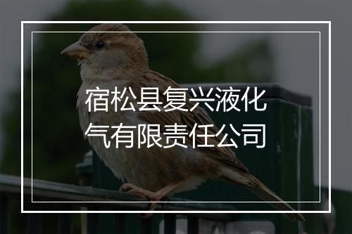 宿松县复兴液化气有限责任公司