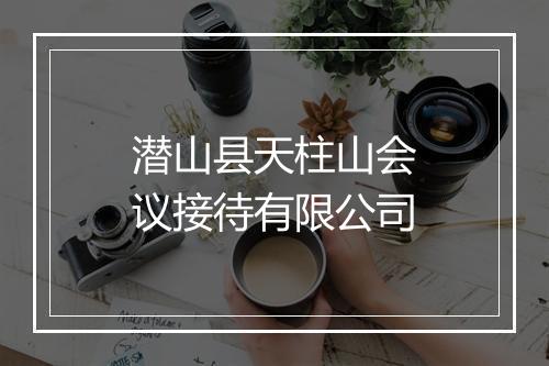 潜山县天柱山会议接待有限公司