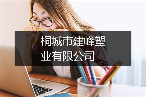 桐城市建峰塑业有限公司
