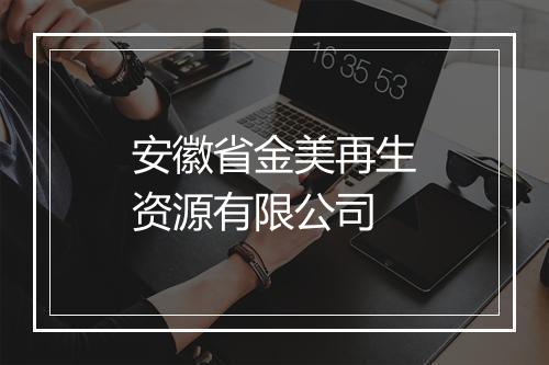 安徽省金美再生资源有限公司