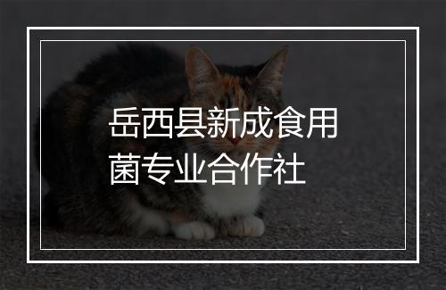 岳西县新成食用菌专业合作社