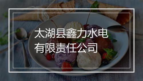 太湖县鑫力水电有限责任公司