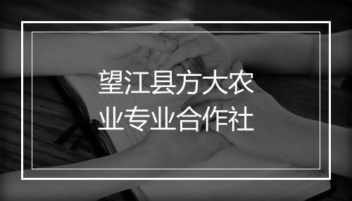 望江县方大农业专业合作社