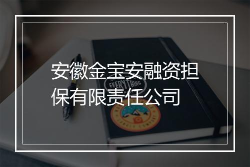 安徽金宝安融资担保有限责任公司
