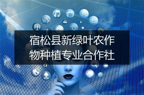 宿松县新绿叶农作物种植专业合作社