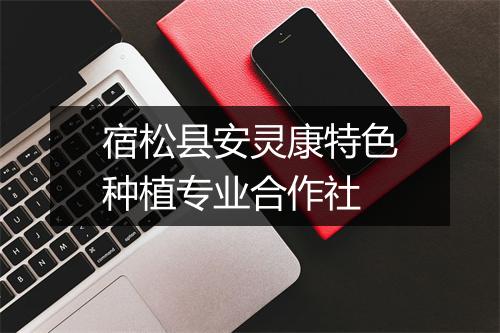 宿松县安灵康特色种植专业合作社