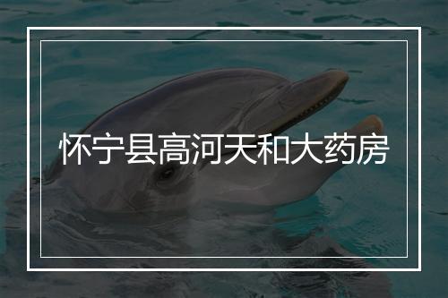怀宁县高河天和大药房