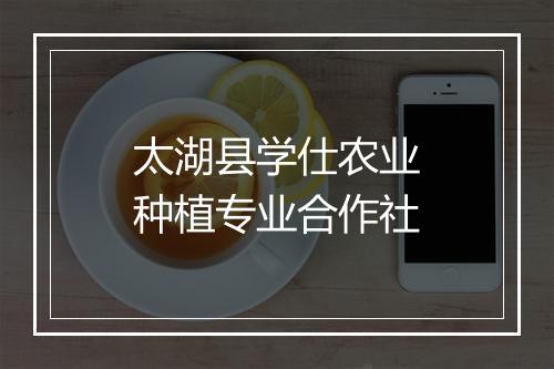 太湖县学仕农业种植专业合作社