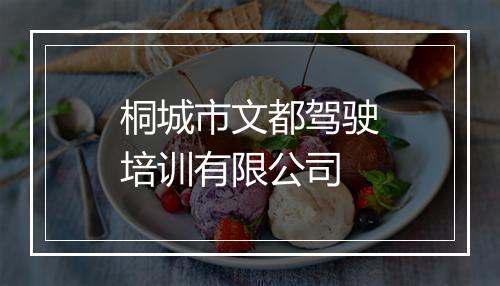 桐城市文都驾驶培训有限公司