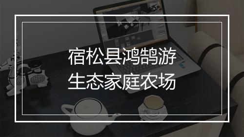 宿松县鸿鹄游生态家庭农场