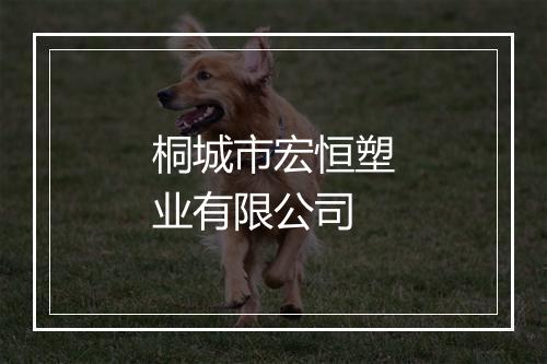 桐城市宏恒塑业有限公司