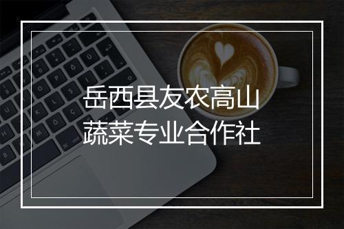 岳西县友农高山蔬菜专业合作社