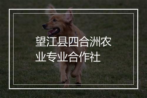 望江县四合洲农业专业合作社