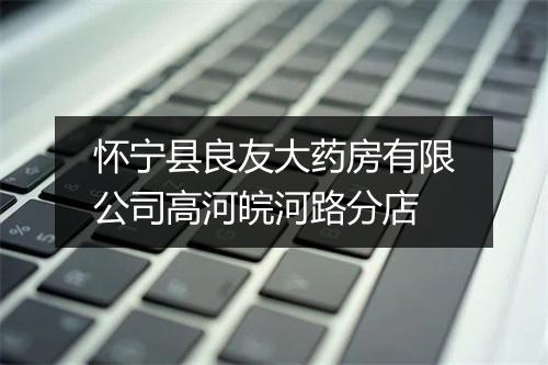 怀宁县良友大药房有限公司高河皖河路分店
