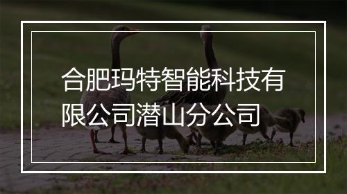合肥玛特智能科技有限公司潜山分公司