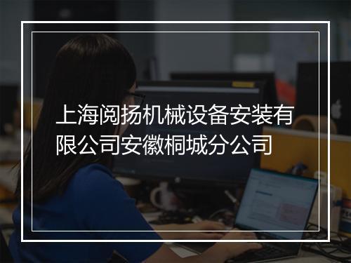上海阅扬机械设备安装有限公司安徽桐城分公司
