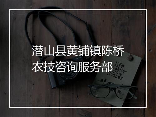 潜山县黄铺镇陈桥农技咨询服务部