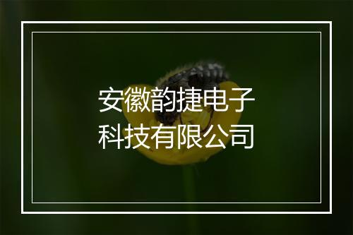 安徽韵捷电子科技有限公司