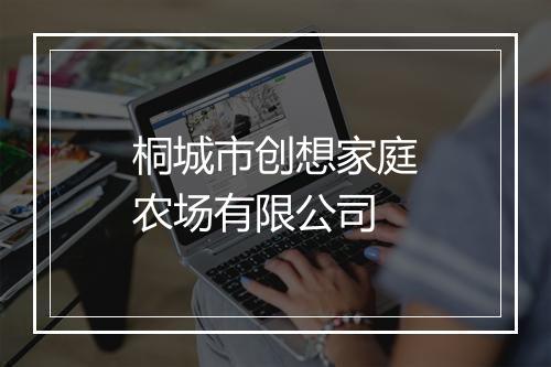桐城市创想家庭农场有限公司