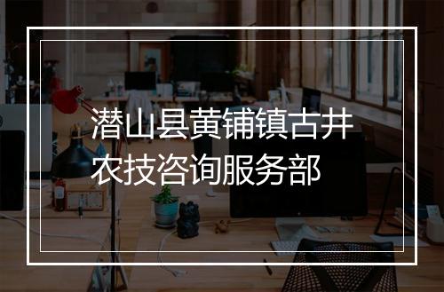 潜山县黄铺镇古井农技咨询服务部