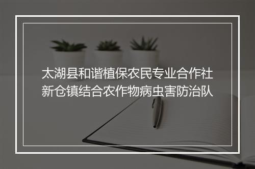 太湖县和谐植保农民专业合作社新仓镇结合农作物病虫害防治队