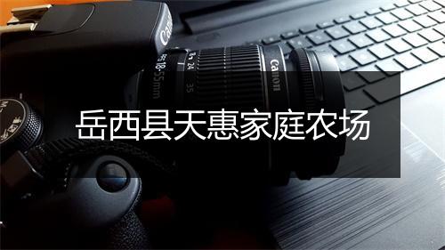 岳西县天惠家庭农场