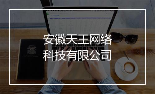 安徽天王网络科技有限公司