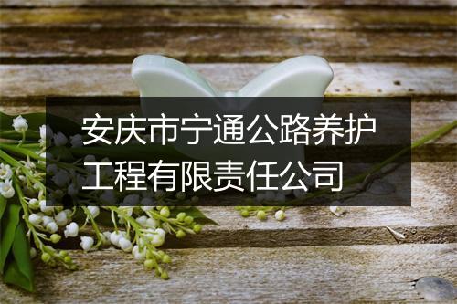 安庆市宁通公路养护工程有限责任公司