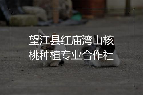 望江县红庙湾山核桃种植专业合作社