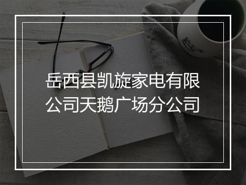岳西县凯旋家电有限公司天鹅广场分公司