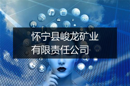 怀宁县峻龙矿业有限责任公司