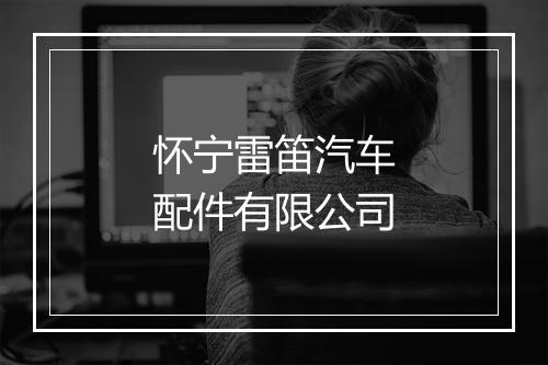 怀宁雷笛汽车配件有限公司