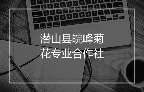 潜山县皖峰菊花专业合作社