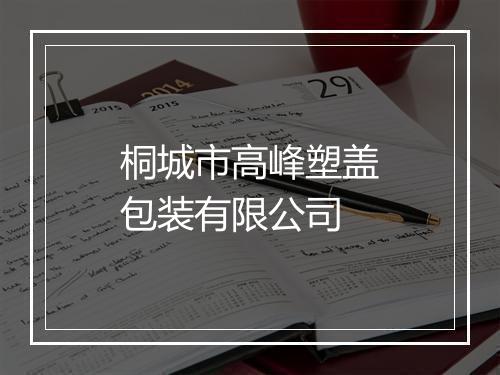 桐城市高峰塑盖包装有限公司