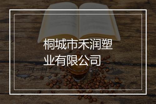 桐城市禾润塑业有限公司