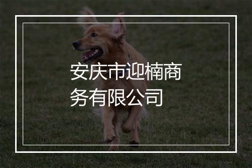 安庆市迎楠商务有限公司