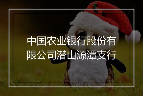 中国农业银行股份有限公司潜山源潭支行