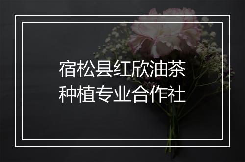 宿松县红欣油茶种植专业合作社
