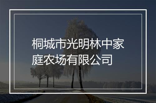 桐城市光明林中家庭农场有限公司