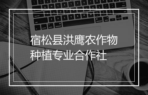 宿松县洪鹰农作物种植专业合作社
