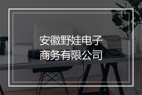 安徽野娃电子商务有限公司