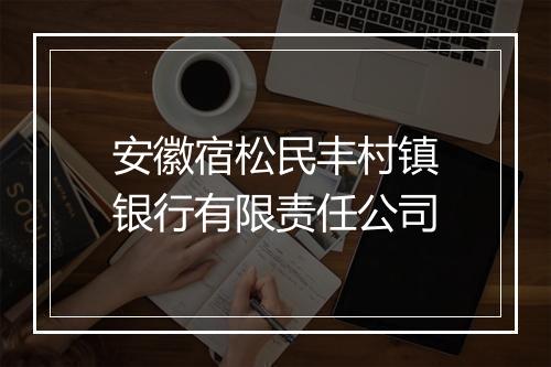 安徽宿松民丰村镇银行有限责任公司