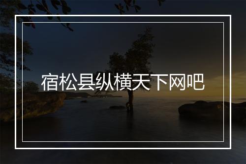 宿松县纵横天下网吧