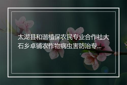 太湖县和谐植保农民专业合作社大石乡卓铺农作物病虫害防治专业队
