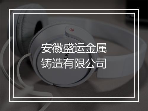 安徽盛运金属铸造有限公司