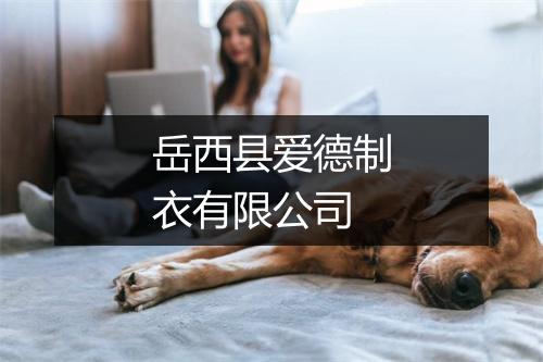 岳西县爱德制衣有限公司